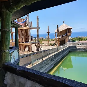 https://la-casa-nova-hostel.tenerifehoteles.net